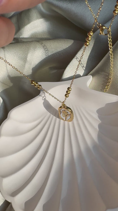 Lilyah Jewelry Necklace video. Under Sunlight