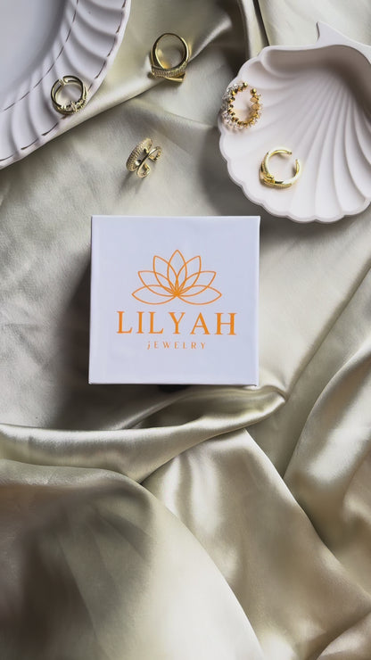 Lilyah Jewelry Gold Plated Diamond Earrings.  